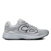Dior B30 Reflective Grey