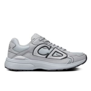 Dior B30 Reflective Grey