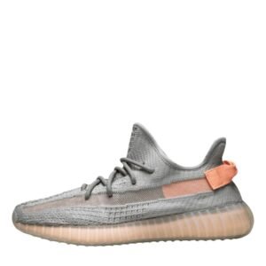 Adidas Yeezy Boost 350 V2 True Form