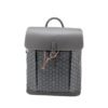 Goyard Alpin Backpack Grey Travel Carry On Weekend Bookbag
