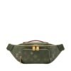 Louis Vuitton Rush Bumbag Monogram Green