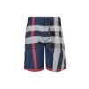 Burberry Check Swim Shortd In Navy Blue