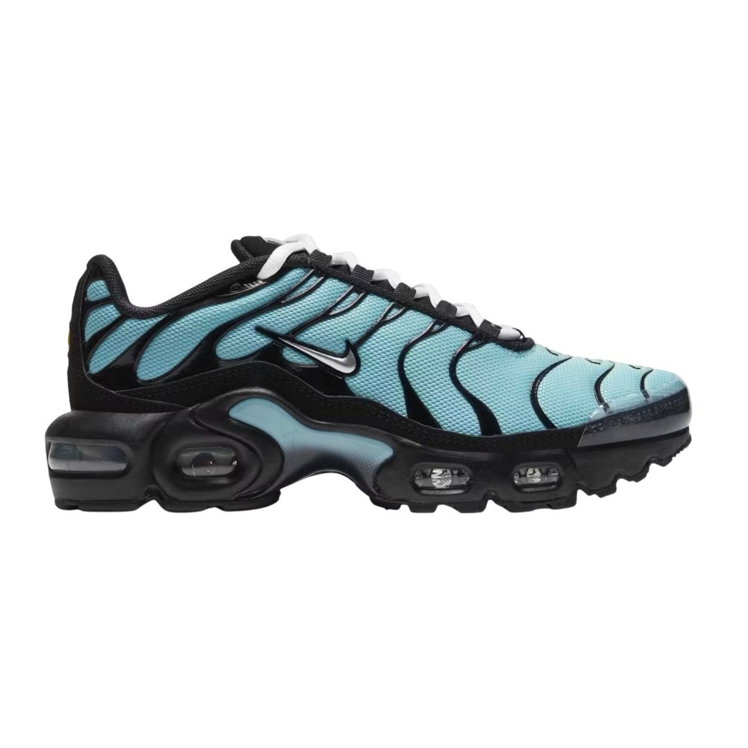 Nike Air Max Plus Aqua Black White Metallic Silver